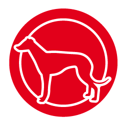 Greyhound