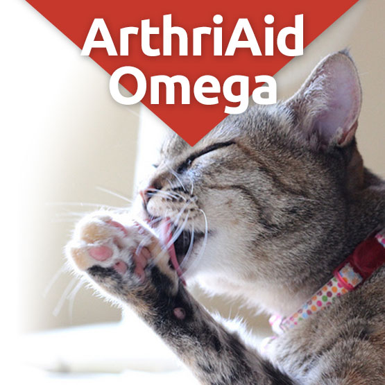 ArthriAid™ Omega Cat Supplement
