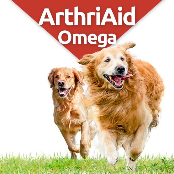 arthriaid omega glucosamin and chondroitin joint supplement for dogs