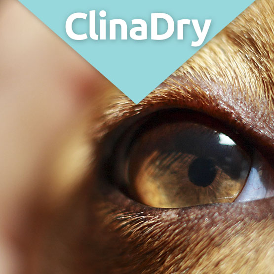 CLinadry eye lubricant for dogs