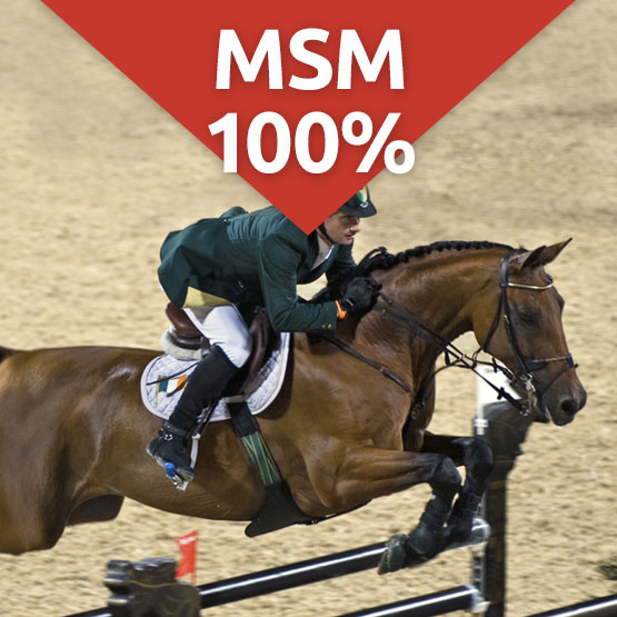 MSM 100 joint care supplement for horses