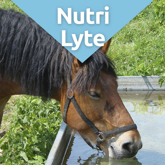 NutriLyte