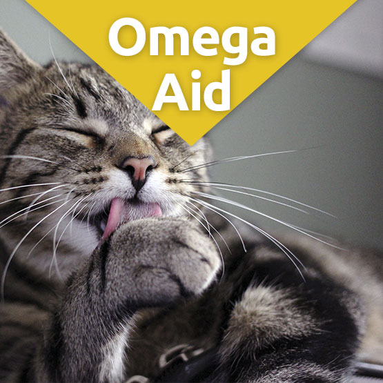 OmegaAid Skin & Coat Supplement for Cats