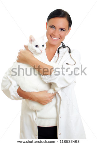 RevitalAid tonic for cats