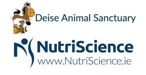 Deise Animal Sanctuary2021-01